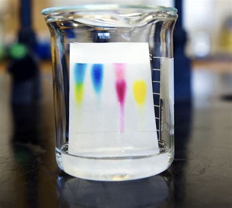 Thin Layer Chromatography – The Official Blog of Edvotek®