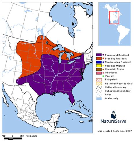 Tennessee Watchable Wildlife | Red-headed Woodpecker - Habitat: FOREST