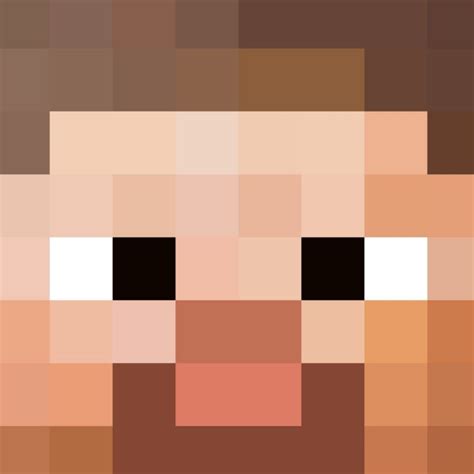 Minecraft Steve Head – Pattern Crew