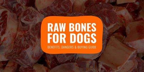 Raw Bones for Dogs – vs Cooked Bones, Benefits, Dangers & Reviews