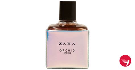 Orchid Intense 2017 Zara perfume - a fragrance for women 2017