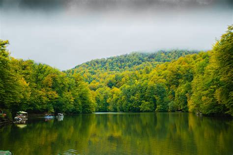 Tour To Dilijan Monasteries:Haghartsin & Goshavavank