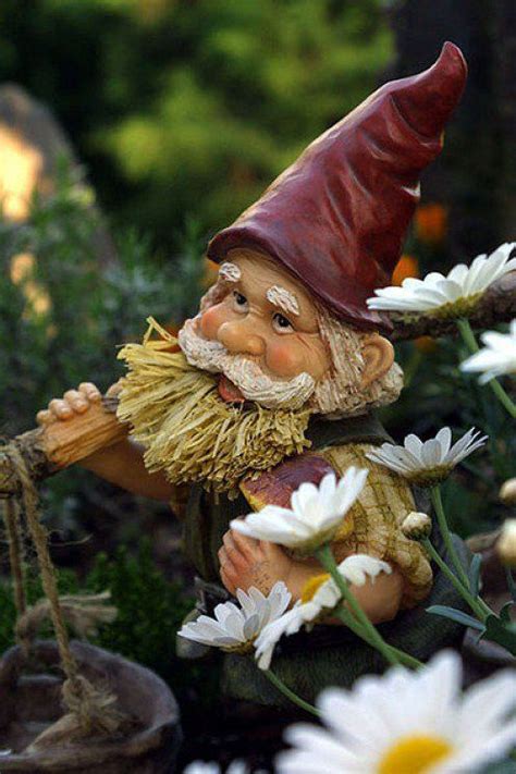 Pin on Gnome garden