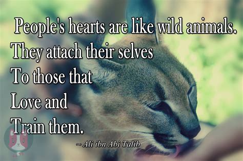 Wildlife Quotes About Wild Animals - ShortQuotes.cc