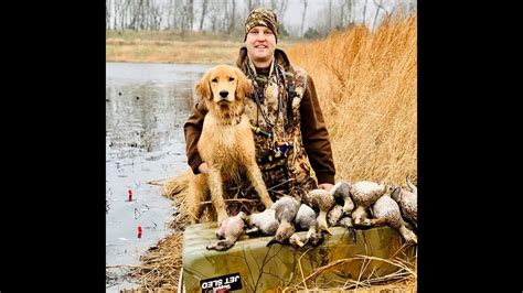 Golden Retriever - duck hunting - YouTube