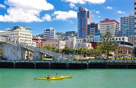 5 Must-Try Adrenaline-Pumping Activities in Wellington NZ in 2024