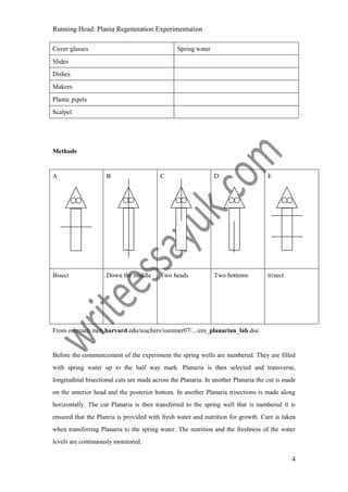 Planaria regeneration | PDF | Free Download