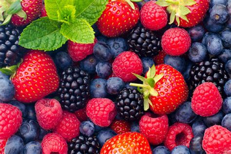 5 Healthy Berries You Should Incorporate Into Your Diet Right Now