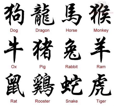 Chinese Symbols And Meanings Tattoo Sample | Chinese zodiac signs ...