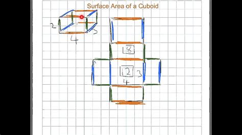 The Net Of A Cuboid Is Shown Below