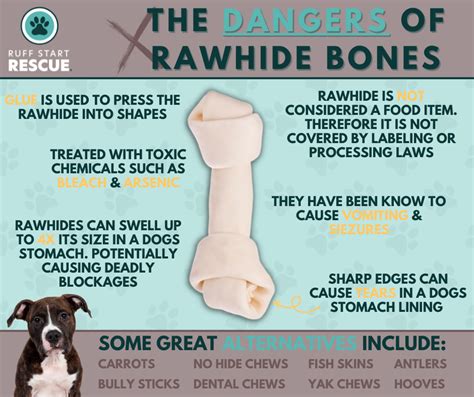 The Dangerous Truth About Rawhide – Ruff Start Rescue