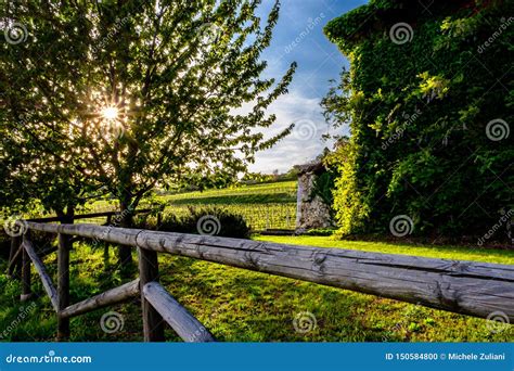 Abandoned Farm in the Countryside of Italy Stock Photo - Image of grass, friuli: 150584800