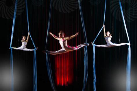 82,200+ Circus Performer Stock Photos, Pictures & Royalty-Free Images ...