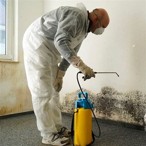 Mold Remediation & Mold Removal Services 24/7 Emergency Services