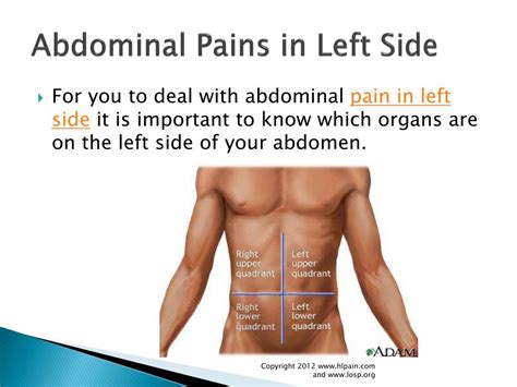 PPT - how to Treat Abdominal Pain in Left Side PowerPoint Presentation - ID:682014