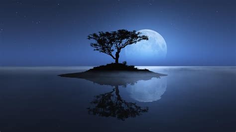 Moonlight Landscape Wallpapers - Top Free Moonlight Landscape ...