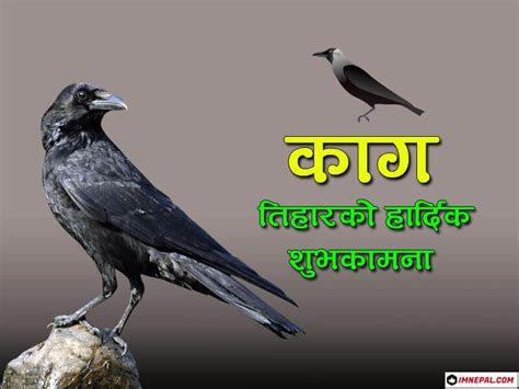 50 Happy Kag Tihar (Crow Puja) Greeting Cards & Wishes Images