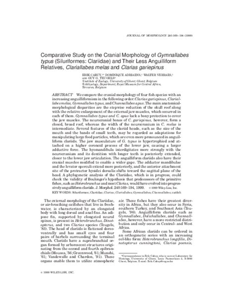 (PDF) Comparative Study on the Cranial Morphology of Gymnallabes Typus (Siluriformes: Clariidae ...