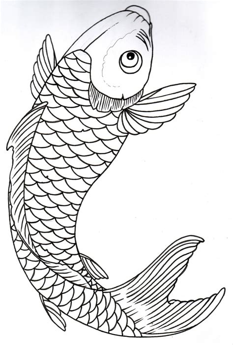 Fish Drawing Template at GetDrawings | Free download