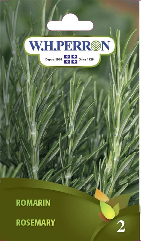 Rosemary - Seeds – Jardineries Botanix