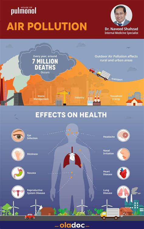 Air Pollution & it's Effects on Health! in 2021 | Air pollution, Health ...