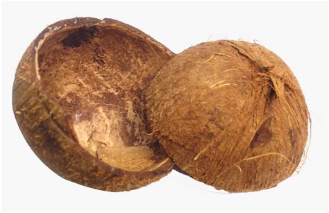 Coconut Husk Png, Transparent Png - kindpng