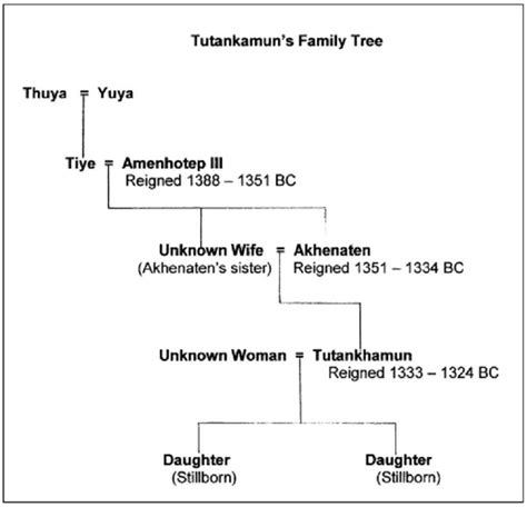 Tutankhamun's family tree. | Tutankhamun, Family tree, Nursing school