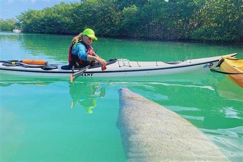 Manatee Photo Safari and Miami Kayak with Paddle Board Tour