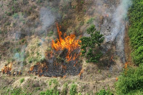 Kebakaran Hutan dan Lahan di Kalimantan Selatan