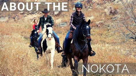 About the Nokota Horse | Rare Breed | DiscoverTheHorse - YouTube