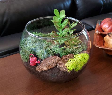 How to Create Long Lasting and Beautiful Terrarium I Mosser Lee