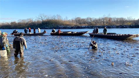 This Fish Story Is a Whopper, But True: Record-Breaking 750,000 Pounds ...