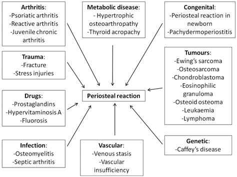 Differential diagnosis of periosteal reaction | Download Scientific Diagram