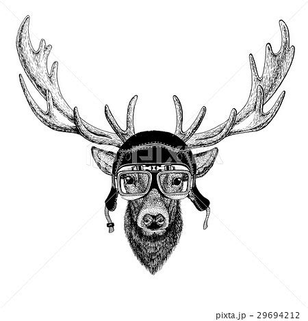 Vintage images of DEER for t-shirt design forのイラスト素材 [29694212] - PIXTA