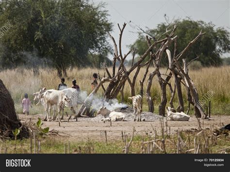 BOR, SOUTH SUDAN- Image & Photo (Free Trial) | Bigstock