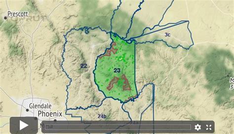 Arizona Elk - Unit 23 - Draw Odds, Tag Information and More