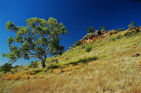 North Australian Tropical Savannas (AU8) | One Earth