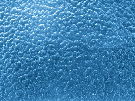 Light Blue Textured Glass with Bumpy Surface Picture | Free Photograph ...