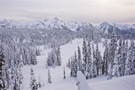 10 Reasons No One In Their Right Mind Visits Washington In The Winter | Beautiful winter ...