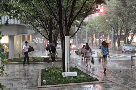 Another Case For Bicycle Commuting in Japan