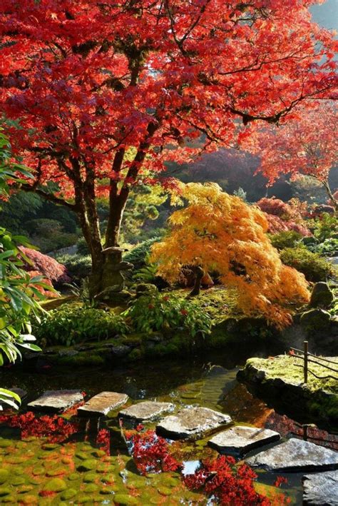 CONTEMPORARY JAPANESE GARDENS AND LANDSCAPES – decorafit.com