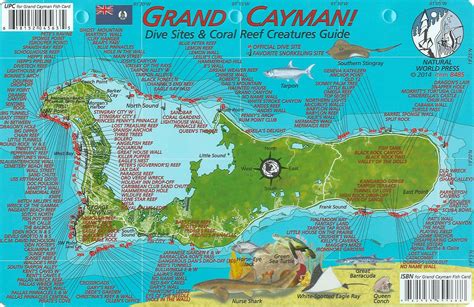 Grand Cayman Beaches Map