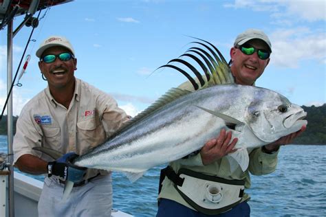 Costa Rica Roosterfish Run Rampant - Florida Sportsman