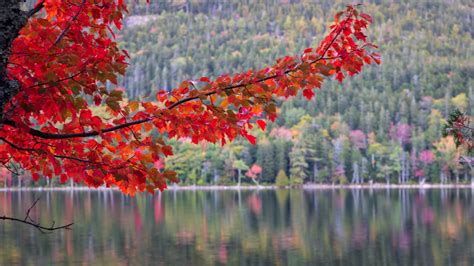 Around Jordan Pond — Paul Klenck Photography