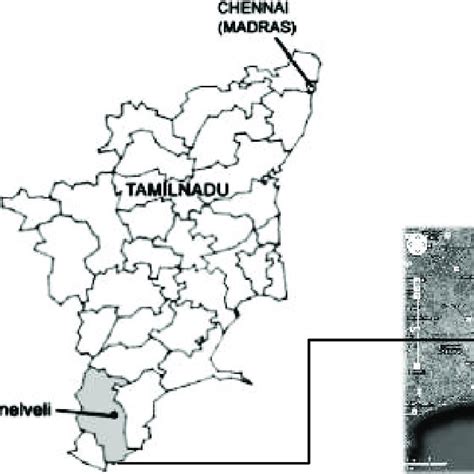 Coastal medicinal plants of the Tirunelveli District. | Download ...