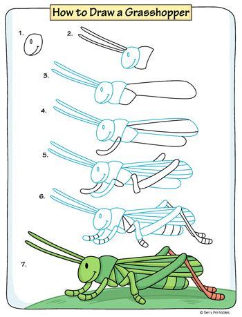 How to Draw a Grasshopper - Tim's Printables | How to draw steps ...