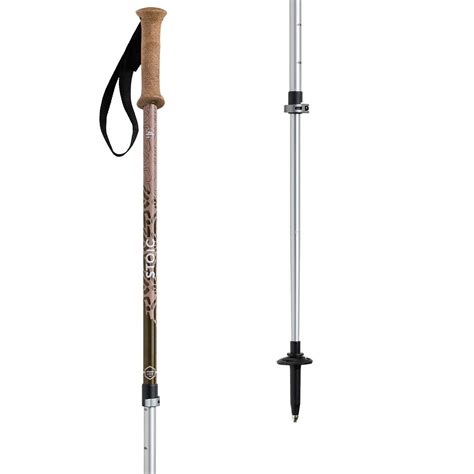 Trekking Poles | Backcountry.com