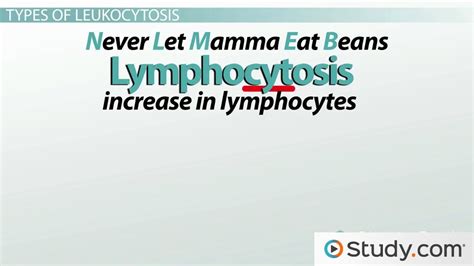 What is Leukocytosis? - Causes & Types - Lesson | Study.com