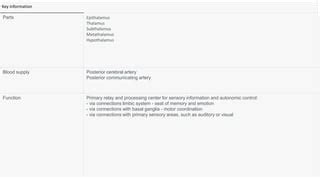 Diencephalon.pptx, structure and function | PPT