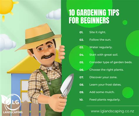 10 Gardening Tips For Beginners - Leading Ground Landscaping